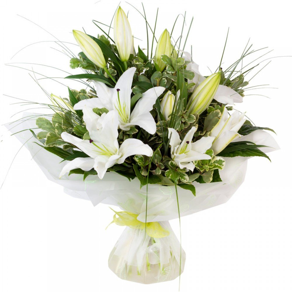 The Lily Classic