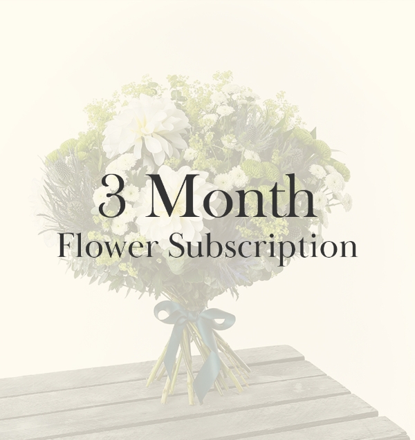 3 Month Subscription.