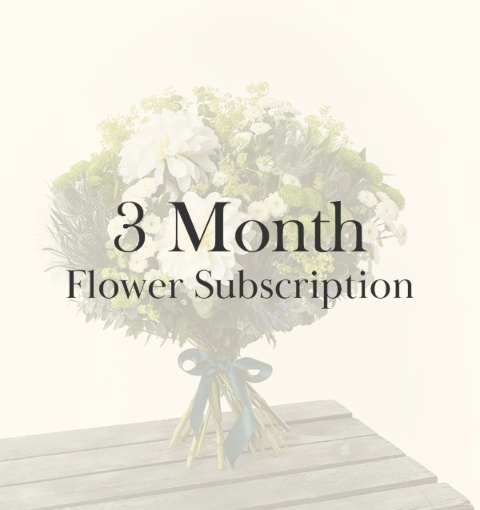 3 Month Subscription.
