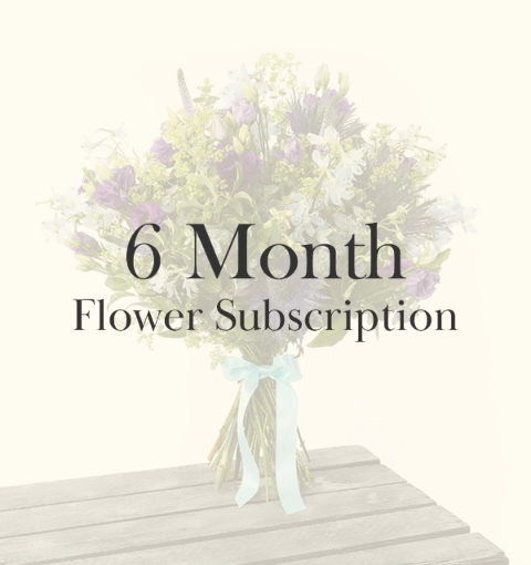 6 Month Subscription
