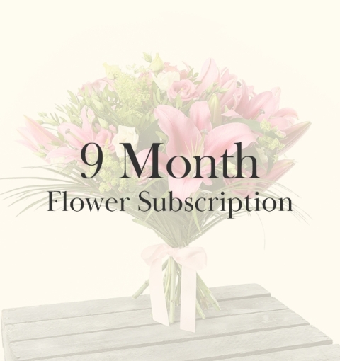 9 Month Subscription