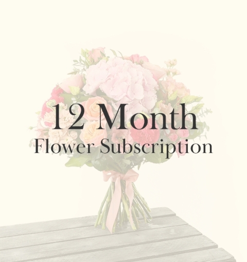 12 Month Subscription